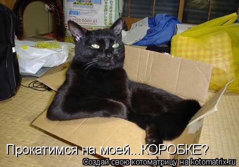 Прокатимся на моей...КОРОБКЕ?... Котоматрица: Прокатимся на моей...КОРОБКЕ?