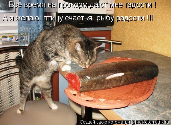 Всё время на прокорм дают мне гадости ! А я желаю: птицу счастья, рыбу радости !!!... Котоматрица: Всё время на прокорм дают мне гадости ! А я желаю: птицу счастья, рыбу радости !!!
