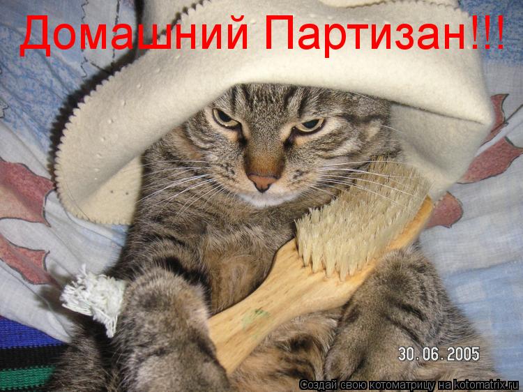 Домашний Партизан!!!... Котоматрица: Домашний Партизан!!!