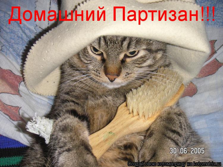 Котоматрица: Домашний Партизан!!!