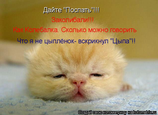 Дайте "Поспать"!!! Заколибали!!! Как Колебалка. Сколько можно говорить Что я не цыплёнок- вскрикнул "... Котоматрица: Дайте "Поспать"!!! Заколибали!!! Как Колебалка. Сколько можно говорить Что я не цыплёнок- вскрикнул "Цыпа"!!