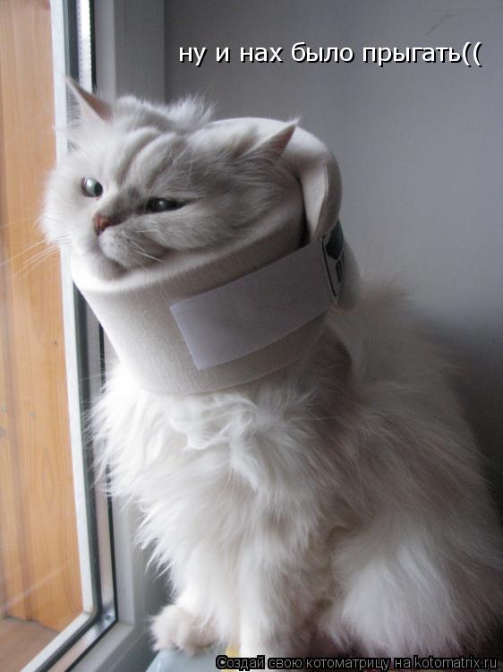 ну и нах было прыгать((... Котоматрица: ну и нах было прыгать((