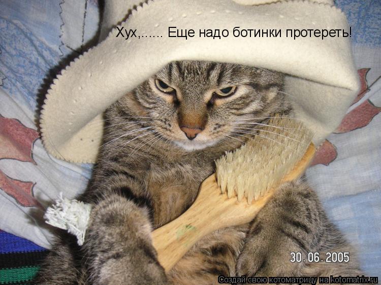 Хух,...... Еще надо ботинки протереть!... Котоматрица: Хух,...... Еще надо ботинки протереть!