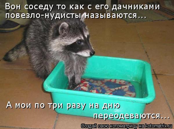 Вон соседу то как с его дачниками повезло-нудисты называются... А мои по три разу на дню переодевают... Котоматрица: Вон соседу то как с его дачниками повезло-нудисты называются... А мои по три разу на дню переодеваются...