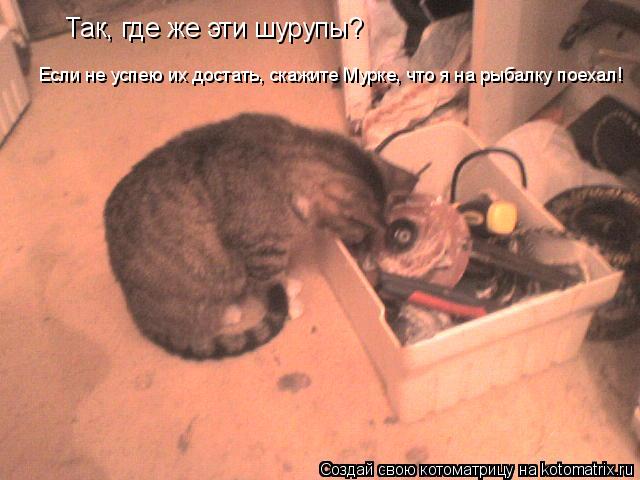 Так, где же эти шурупы? Если не успею их достать, скажите Мурке, что я на рыбалку поехал!... Котоматрица: Так, где же эти шурупы? Если не успею их достать, скажите Мурке, что я на рыбалку поехал!
