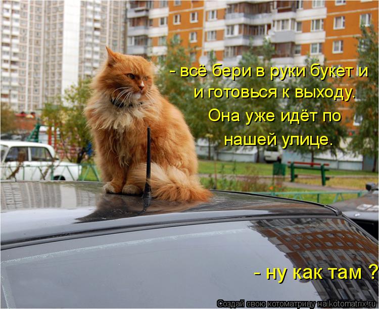 - ну как там ? - всё бери в руки букет и и готовься к выходу. Она уже идёт по нашей улице.... Котоматрица: - ну как там ? - всё бери в руки букет и и готовься к выходу. Она уже идёт по нашей улице.