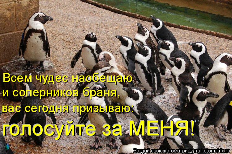 Всем чудес наобещаю и соперников браня, вас сегодня призываю: голосуйте за МЕНЯ! голосуйте за МЕНЯ!... Котоматрица: Всем чудес наобещаю и соперников браня, вас сегодня призываю: голосуйте за МЕНЯ! голосуйте за МЕНЯ!