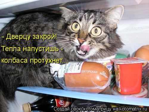 Котоматрица: - Дверцу закрой! Тепла напустишь -  колбаса протухнет...