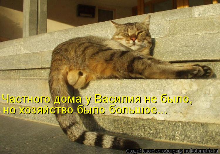 Котоматрица: Частного дома у Василия не было, но хозяйство было большое...