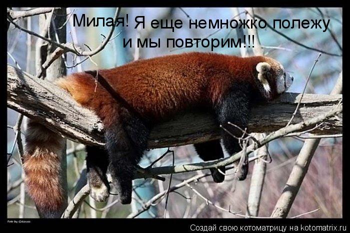 Котоматрица: Милая! Я еще немножко полежу и мы повторим!!!