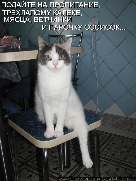Котоматрица: ПОДАЙТЕ НА ПРОПИТАНИЕ, ТРЕХЛАПОМУ КАЛЕКЕ, МЯСЦА, ВЕТЧИНКИ  И ПАРОЧКУ СОСИСОК...