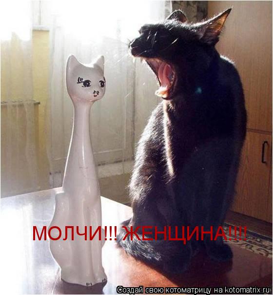 Котоматрица: МОЛЧИ!!! ЖЕНЩИНА!!!!