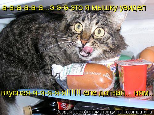 а-а-а-а-а-а...э-э-э-это я мышку увидел вкусная-я-я-я-я-я!!!!!! еле догнал... ням...... Котоматрица: а-а-а-а-а-а...э-э-э-это я мышку увидел вкусная-я-я-я-я-я!!!!!! еле догнал... ням...
