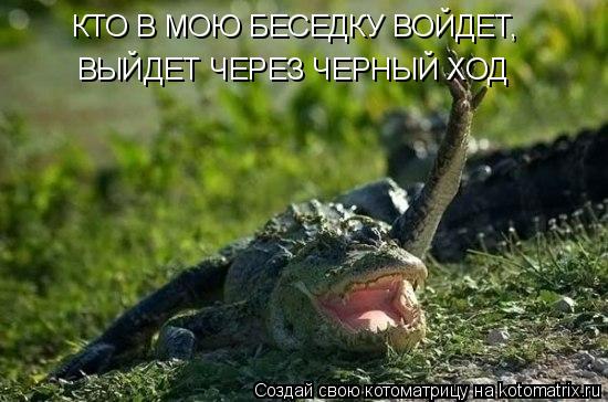 КТО В МОЮ БЕСЕДКУ ВОЙДЕТ, ВЫЙДЕТ ЧЕРЕЗ ЧЕРНЫЙ ХОД... Котоматрица: КТО В МОЮ БЕСЕДКУ ВОЙДЕТ, ВЫЙДЕТ ЧЕРЕЗ ЧЕРНЫЙ ХОД