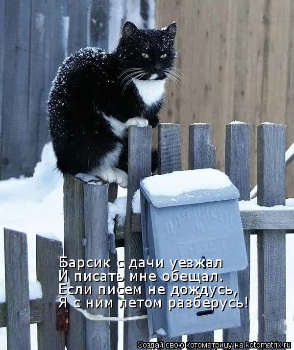 Барсик с дачи уезжал И писать мне обещал. Если писем не дождусь, Я с ним летом разберусь!... Котоматрица: Барсик с дачи уезжал И писать мне обещал. Если писем не дождусь, Я с ним летом разберусь!