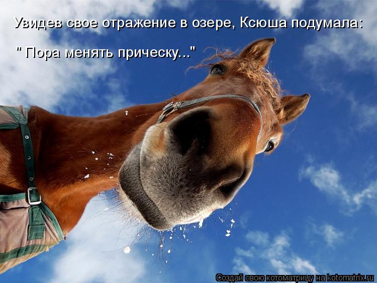 Котоматрица: Увидев свое отражение в озере, Ксюша подумала:  " Пора менять прическу..."