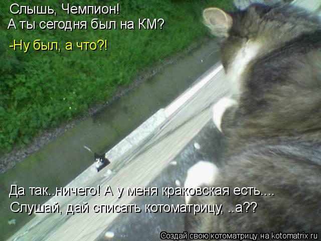 Котоматрица: Слышь, Чемпион!  А ты сегодня был на КМ? -Ну был, а что?! Да так..ничего! А у меня краковская есть.... Слушай, дай списать котоматрицу, ..а??