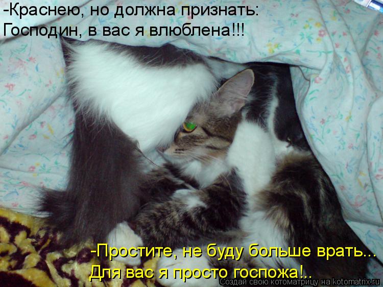 -Краснею, но должна признать: Господин, в вас я влюблена!!! -Простите, не буду больше врать... Для ва... Котоматрица: -Краснею, но должна признать: Господин, в вас я влюблена!!! -Простите, не буду больше врать... Для вас я просто госпожа!..