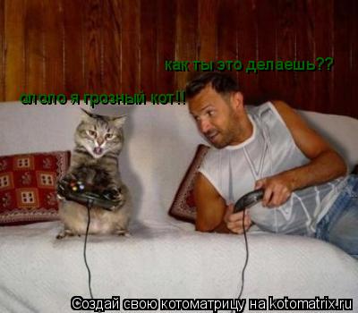 как ты это делаешь?? ололо я грозный кот!!... Котоматрица: как ты это делаешь?? ололо я грозный кот!!