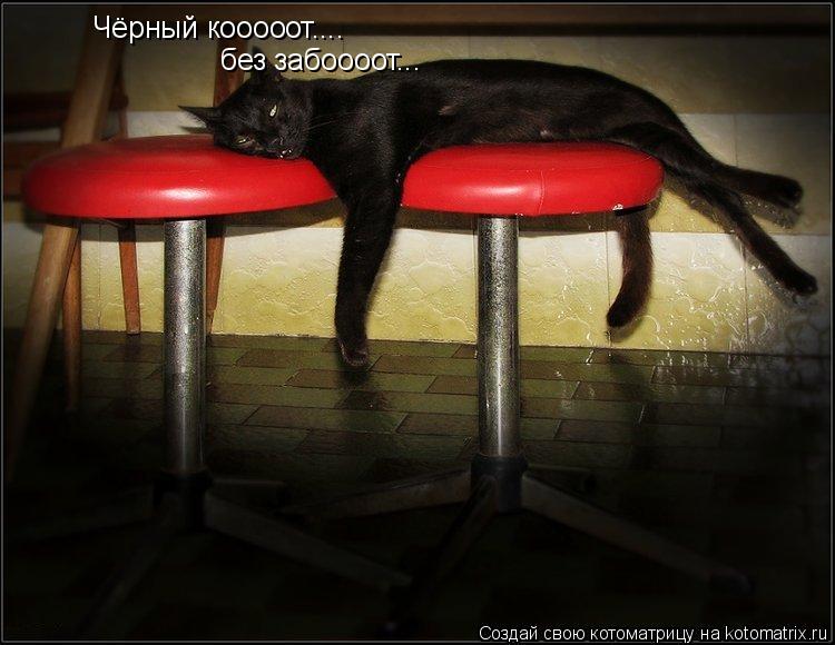 Чёрный кооооот.... без забоооот...... Котоматрица: Чёрный кооооот.... без забоооот...