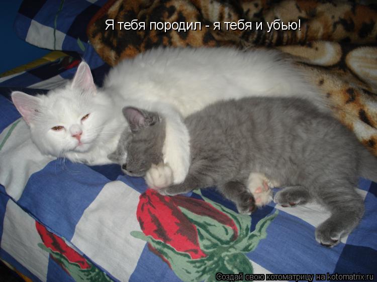 Котоматрица: Я тебя породил - я тебя и убью!