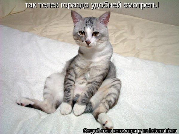 Котоматрица: так телек гораздо удобней смотреть!