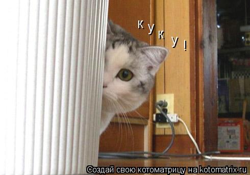 Котоматрица: к у к у !