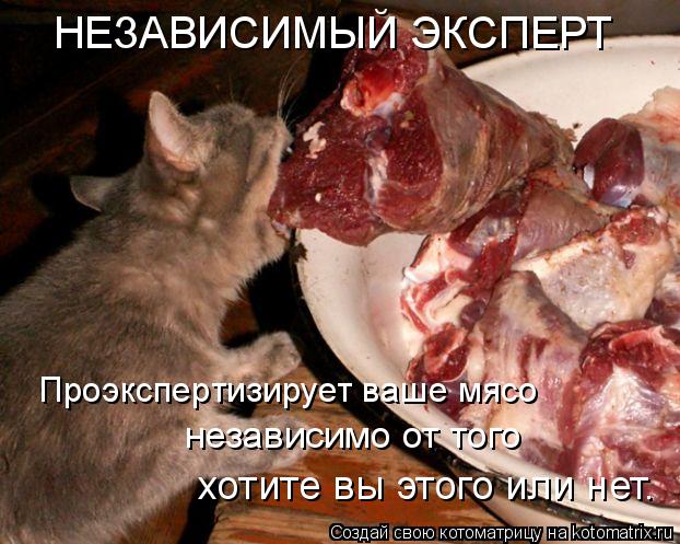 Котоматрица: НЕЗАВИСИМЫЙ ЭКСПЕРТ Проэкспертизирует ваше мясо  независимо от того хотите вы этого или нет.