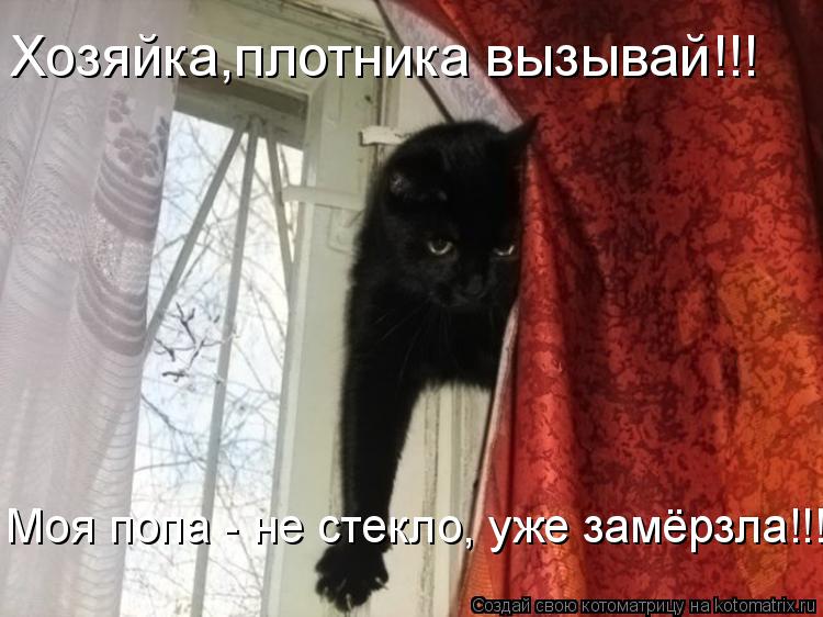 Котоматрица: Хозяйка,плотника вызывай!!! Моя попа - не стекло, уже замёрзла!!!