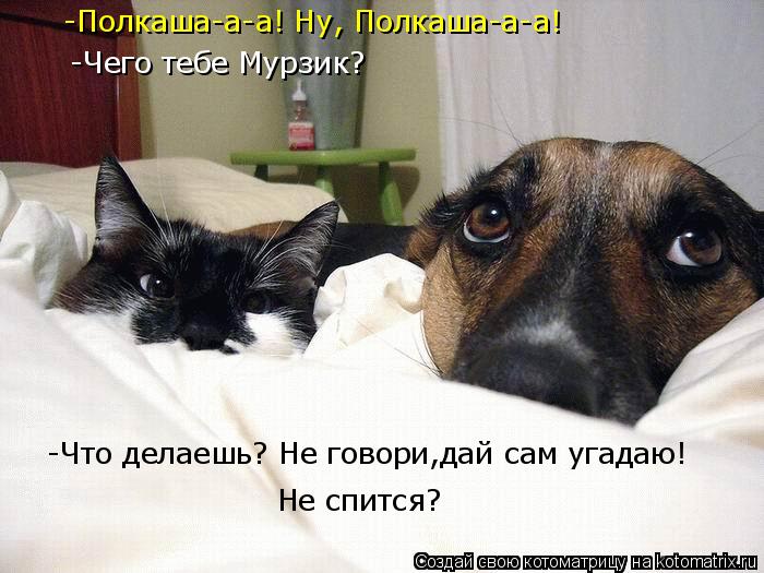 Котоматрица: -Полкаша-а-а! Ну, Полкаша-а-а! -Чего тебе Мурзик? -Что делаешь? Не говори,дай сам угадаю!  Не спится?