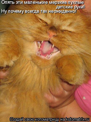 Котоматрица: детские руки! Ну почему всегда так неожиданно! Опять эти маленькие мерзкие пухлые