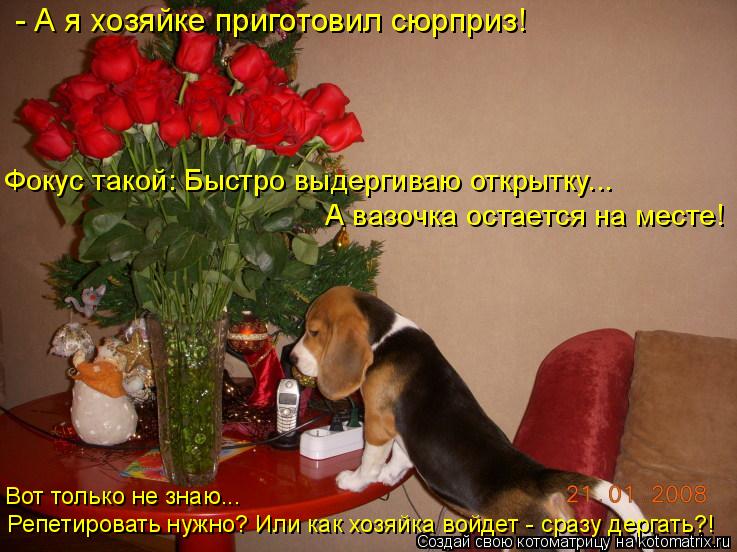 - А я хозяйке приготовил сюрприз! Фокус такой: Быстро выдергиваю открытку... А вазочка остается на ме... Котоматрица: - А я хозяйке приготовил сюрприз! Фокус такой: Быстро выдергиваю открытку... А вазочка остается на месте! Вот только не знаю... Репетировать н