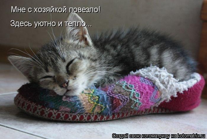 Котоматрица: Мне с хозяйкой повезло! Здесь уютно и тепло...