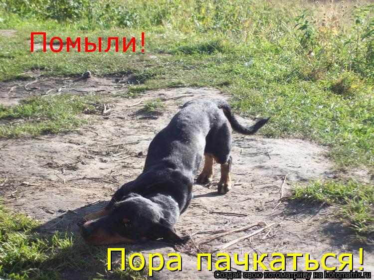 Котоматрица: Помыли! Пора пачкаться!