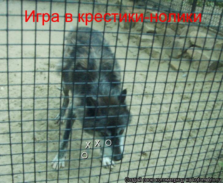 Котоматрица: Игра в крестики-нолики О Х О Х
