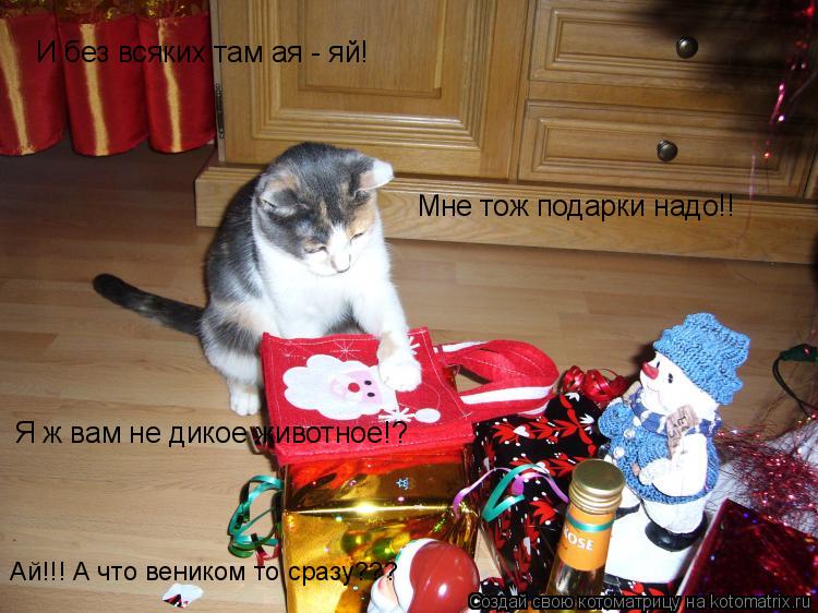 Котоматрица: И без всяких там ая - яй! Мне тож подарки надо!! Я ж вам не дикое животное!? Ай!!! А что веником то сразу???