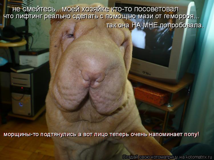 Котоматрица: не смейтесь...моей хозяйке кто-то посоветовал что лифтинг реально сделать с помощью мази от геморроя... так она НА МНЕ попробовала. морщины-т