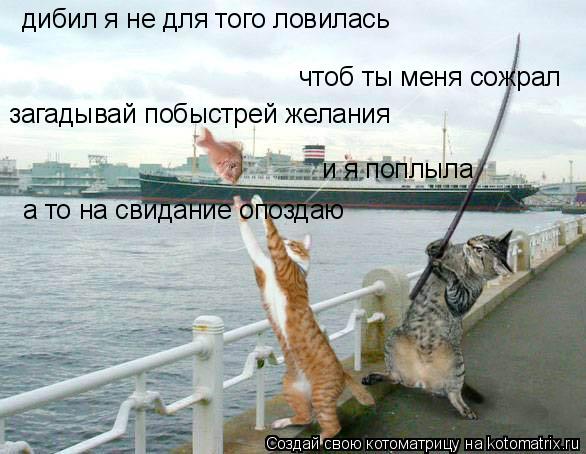 Котоматрица: дибил я не для того ловилась чтоб ты меня сожрал загадывай побыстрей желания и я поплыла а то на свидание опоздаю