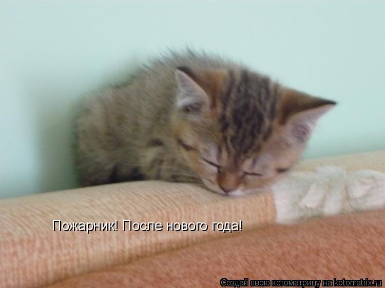 Котоматрица: Пожарник! После нового года!