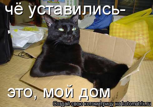 Котоматрица: чё уставились- это, мой дом