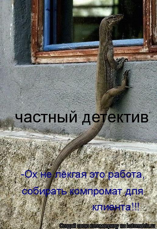 Котоматрица: частный детектив  -Ох не лёкгая это работа,  собирать компромат для   клиента!!!