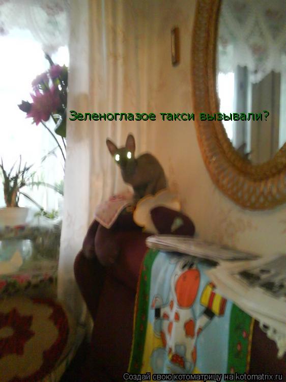 Котоматрица: Зеленоглазое такси вызывали?