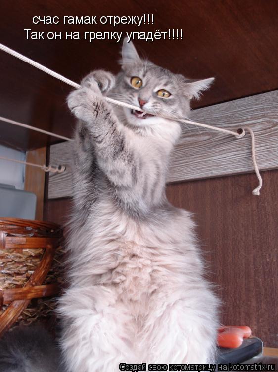 Котоматрица: счас гамак отрежу!!! Так он на грелку упадёт!!!!