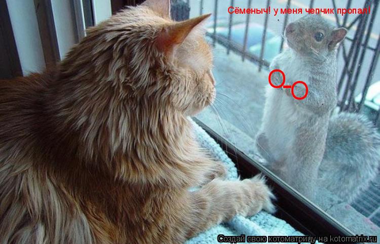 Котоматрица: Сёменыч! у меня чепчик пропал! О О -