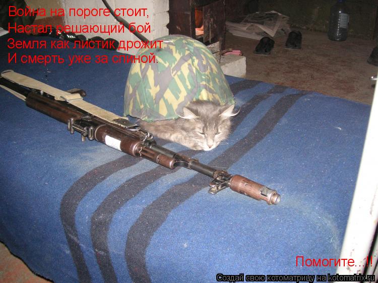 Котоматрица: Война на пороге стоит, Настал решающий бой Земля как листик дрожит И смерть уже за спиной. Помогите...!!