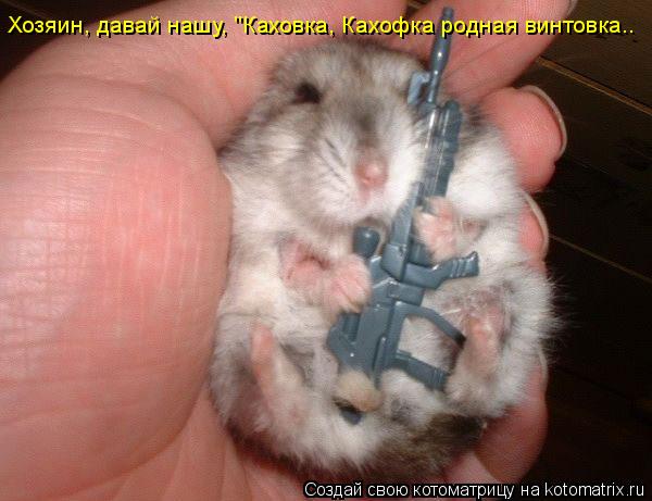 Котоматрица: Хозяин, давай нашу, "Каховка, Кахофка родная винтовка..