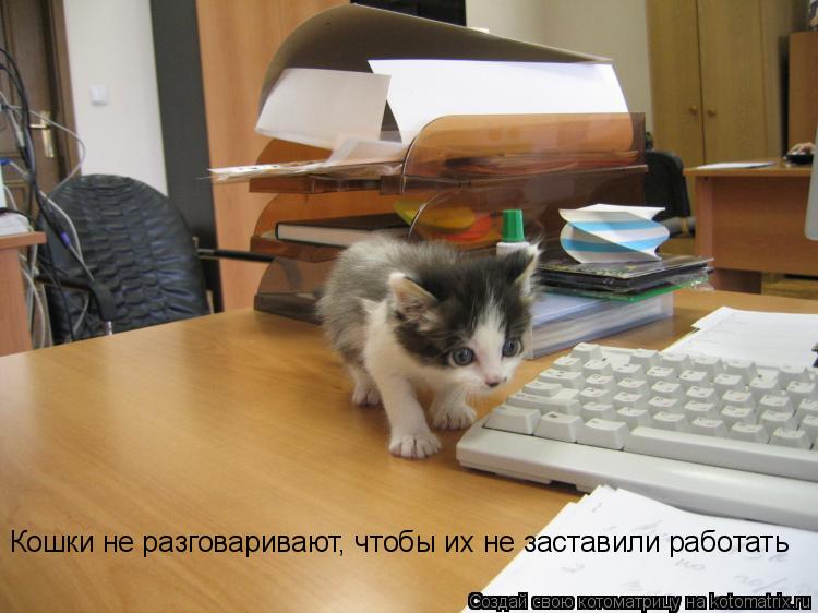 Котоматрица: Кошки не разговаривают, чтобы их не заставили работать