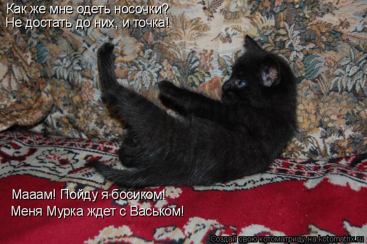 Как же мне одеть носочки? Не достать до них, и точка! Мааам! Пойду я босиком! Меня Мурка ждет с Васьк... Котоматрица: Как же мне одеть носочки? Не достать до них, и точка! Мааам! Пойду я босиком! Меня Мурка ждет с Васьком!