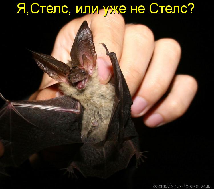 Котоматрица: Я,Стелс, или уже не Стелс?