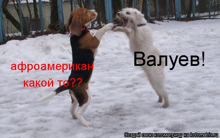 Котоматрица: Валуев! афроамерикан какой то??